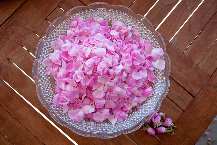 rose petals