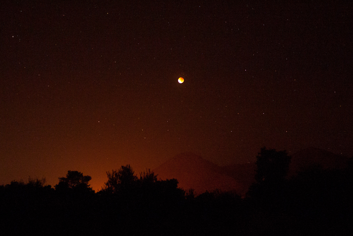 the red full moon