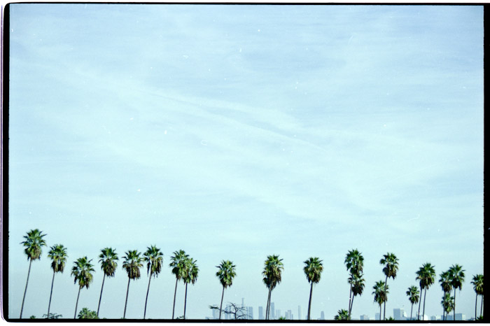 View from Hollywood Blvd