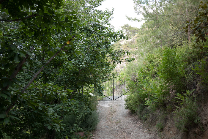 gate